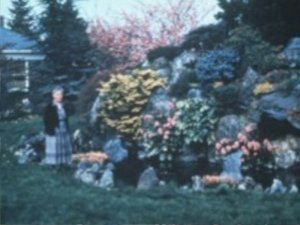 Kuni with north garden